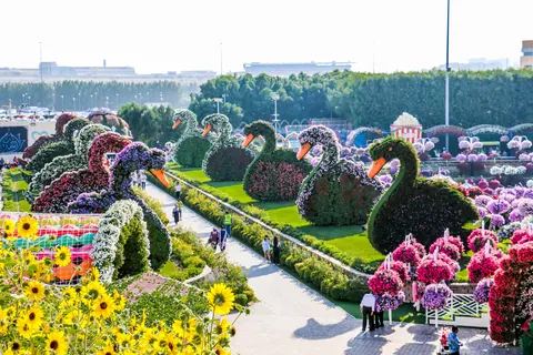 Miracle Garden, музеи и галереи