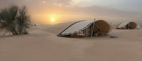Королевская соколиная охота и The Nest